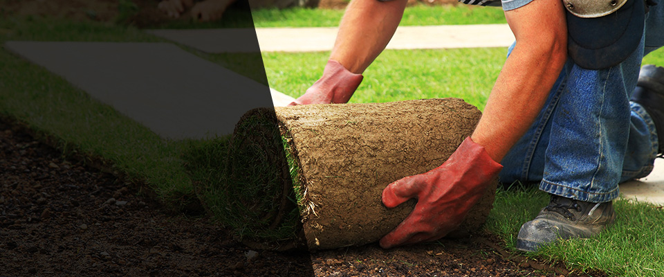 New Mexico Landscapers